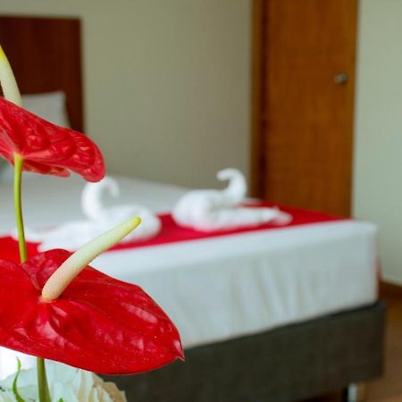 Hotel La Palmera De Oro Tarapoto Exteriér fotografie