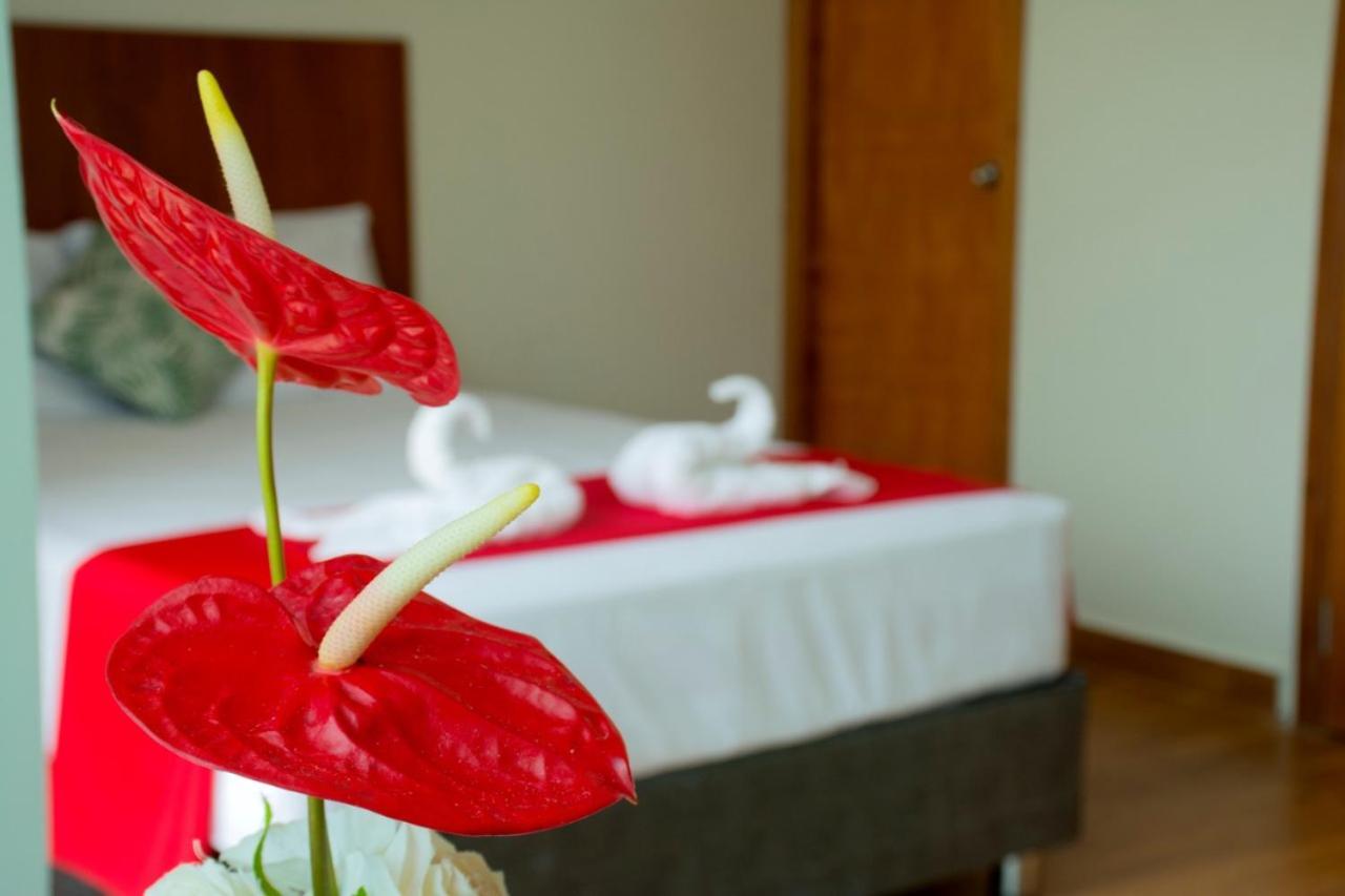 Hotel La Palmera De Oro Tarapoto Exteriér fotografie